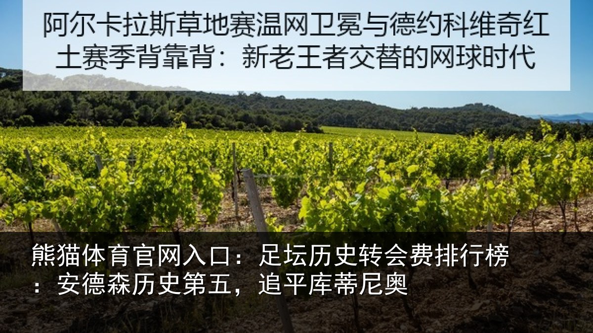 熊猫体育官网入口：足坛相关情况：安德相关情况蒂尼奥